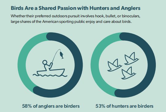 State of the Birds report2.png