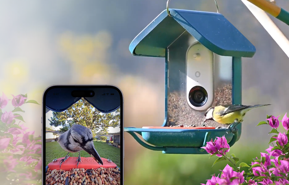 bird1 1.png