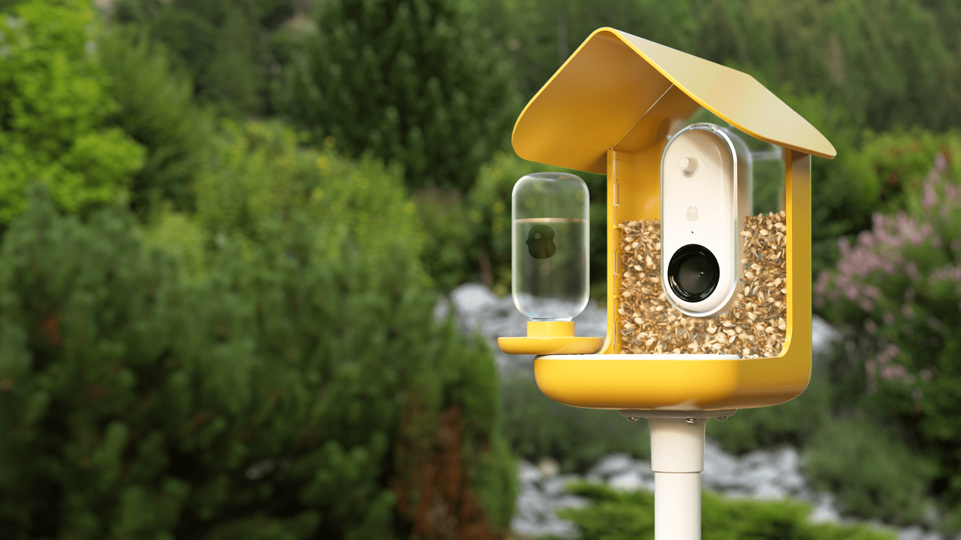 Bird_Buddy_addons_6.png