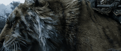8月22日 (1).gif